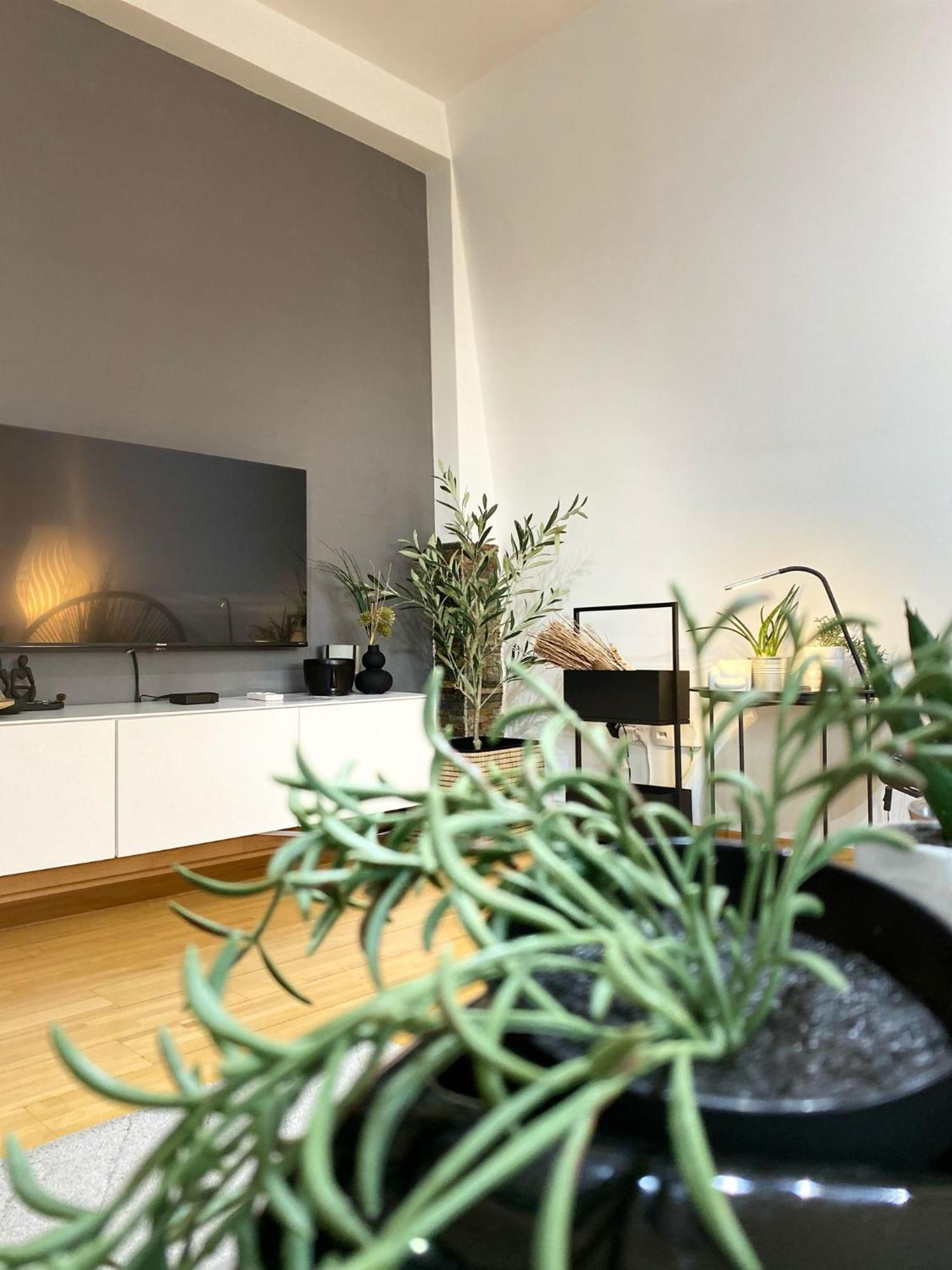 Apartman Riva Кралево Екстериор снимка